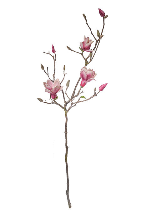 41" Silk Magnolia Spray Beauty