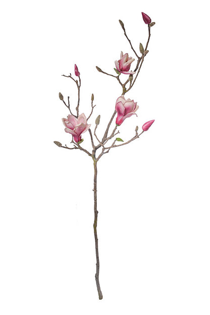 41" Silk Magnolia Spray Beauty