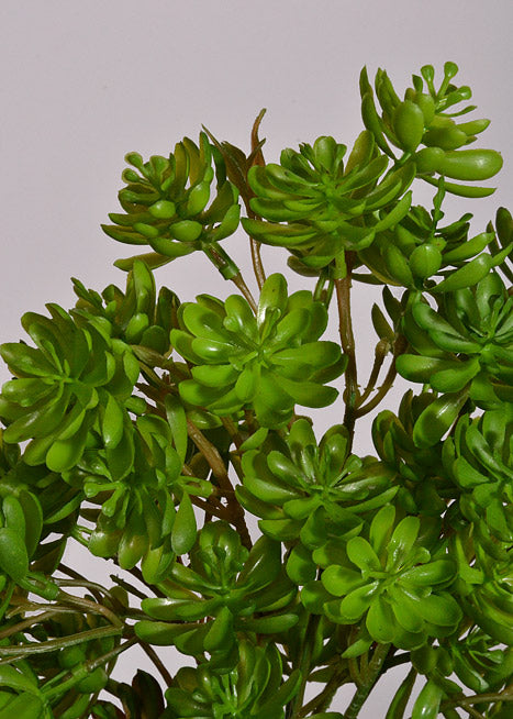 13.5" Artificial Dwarf Aeonium Bush Green