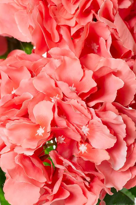 21.5" Silk Hydrangea Bush Coral