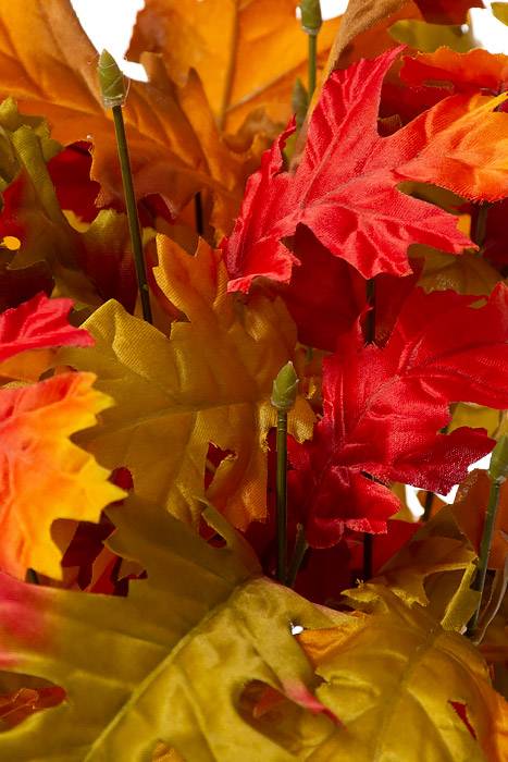 23" Oak Leaf Bush Flame Orange