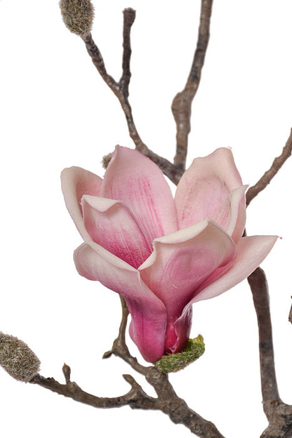 41" Silk Magnolia Spray Beauty