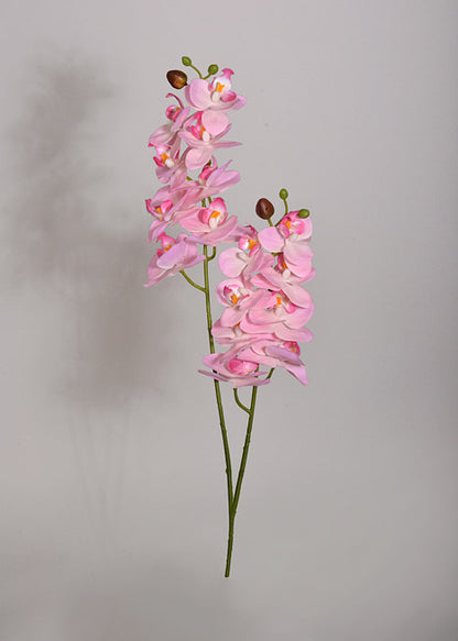 22" Silk Phalaenopsis Pink