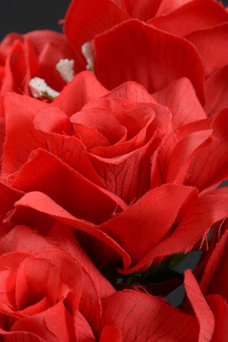 16" Printing Rose Bush Red