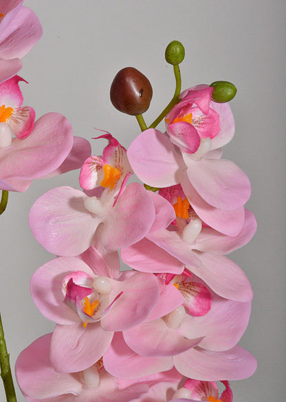 22" Silk Phalaenopsis Pink