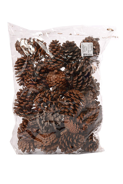 2.5-3.5" Pine Cone Natural Pkg/1Lb
