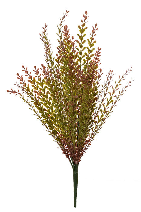 21&quot; Button Bush Burgundy/Green