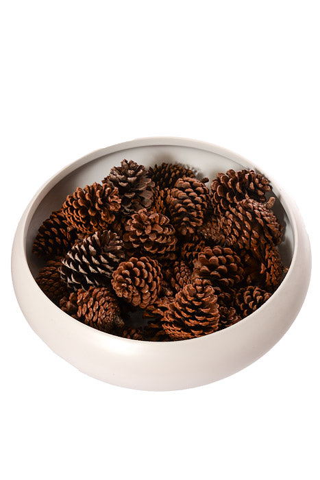 2.5-3.5" Pine Cone Natural Pkg/1Lb
