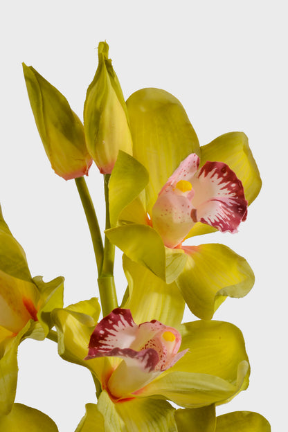 30" Silk Cymbidium Orchid Stem Green