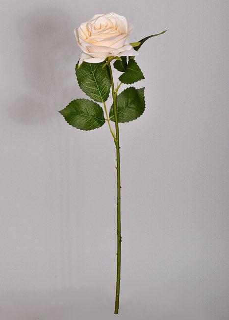 20" Silk Opening Rose Stem Cream