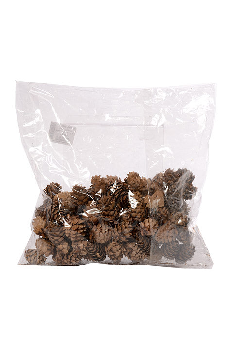 1-2" Mini Pine Cone Natural Pkg/0.5Lb