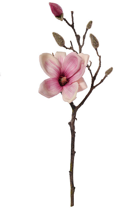 19" Silk Magnolia Spray Beauty