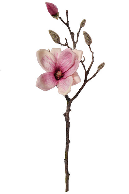 19" Silk Magnolia Spray Beauty