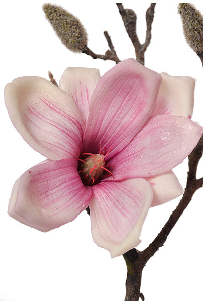 19" Silk Magnolia Spray Beauty