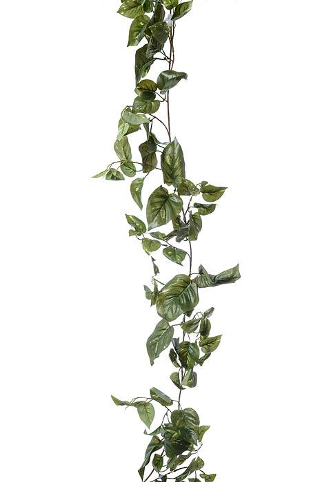 6ft Puff Pothos Garland Green