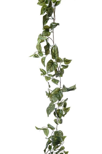 6ft Puff Pothos Garland Green