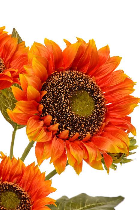 24.5" Sunflower Bush Orange