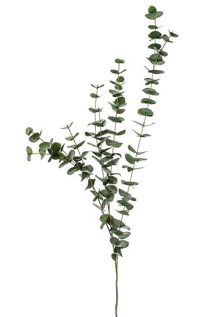 47" Eucalyptus Spray Green/grey