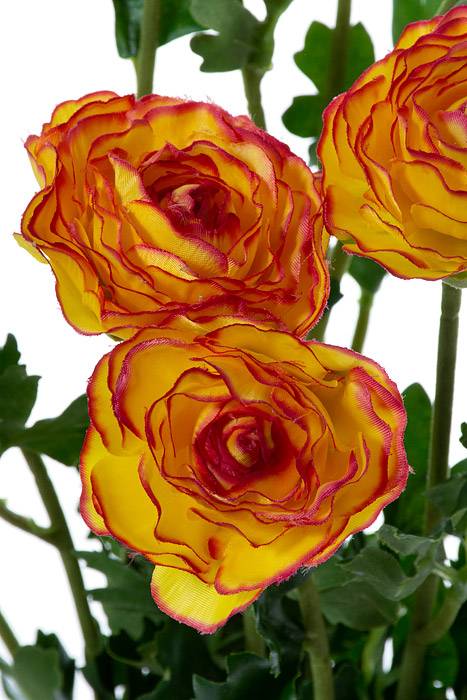 19&quot; Silk Ranunculus Bush Yellow/burgundy