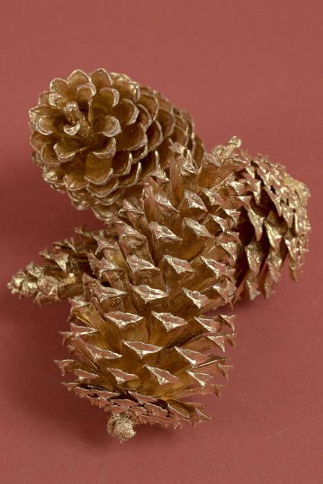 2.5" - 4" Medium Pine Cones Gold Pkg/12