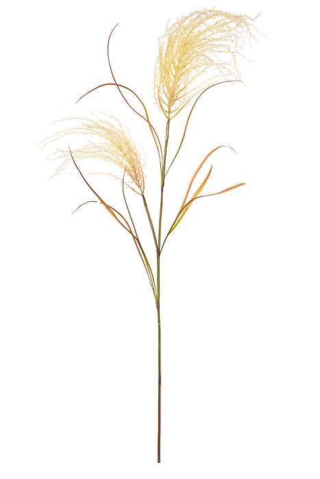 54" Reed Grass Spray Cream