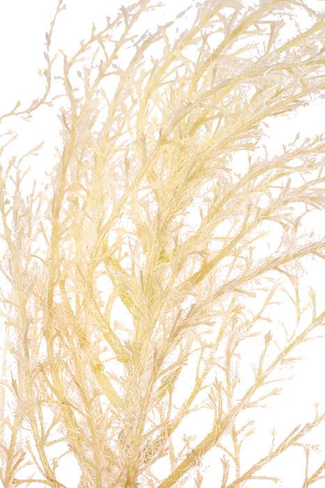 54" Reed Grass Spray Cream