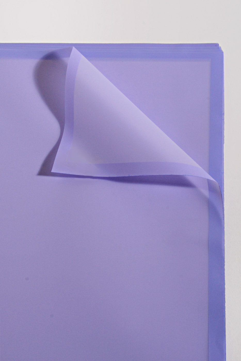 22.5" Flower Wrapping Paper W/Edge Light Lavender Pkg/20