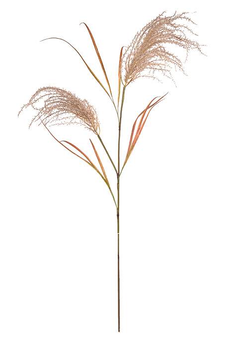 54" Reed Grass Spray Taupe