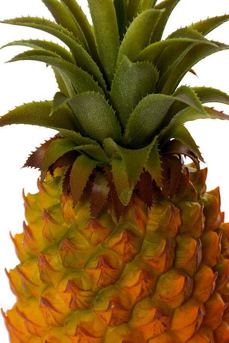 10" Pineapple Orange/Green