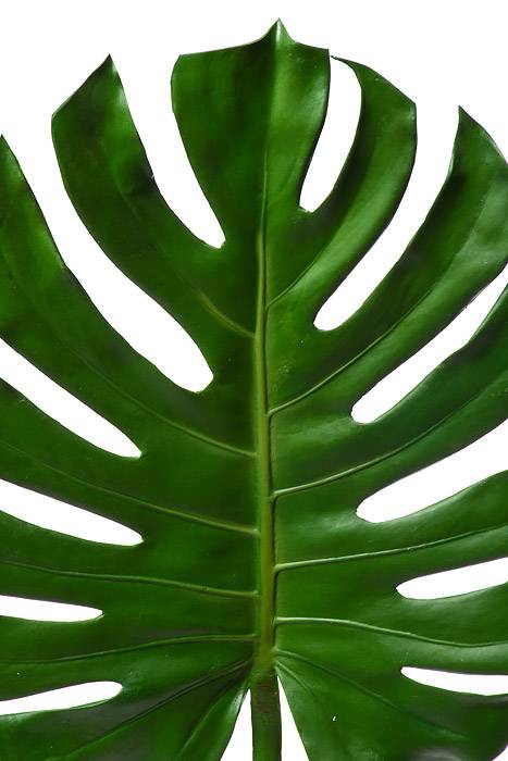 41" Monstera Leaf Spray Green