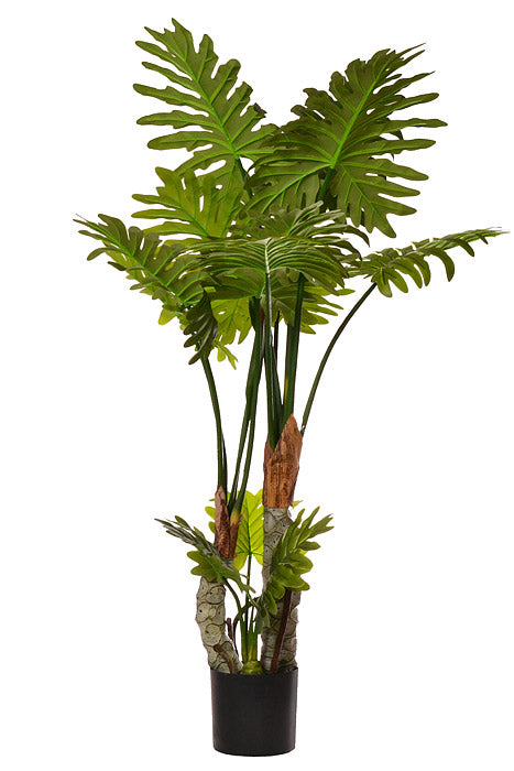 63" Selloum Philo Plant In Pot Green
