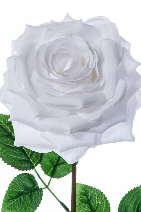20" Open Rose Spray White