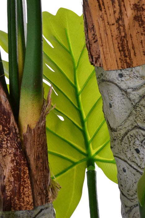 63" Selloum Philo Plant In Pot Green