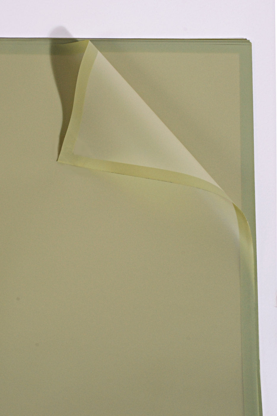 22.5" Flower Wrapping Paper W/Edge Sage Pkg/20