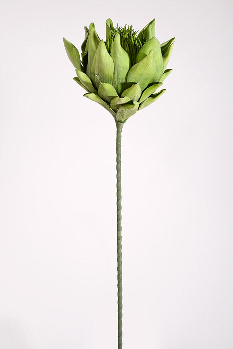 35" Artificial Protea Foam Spray Green