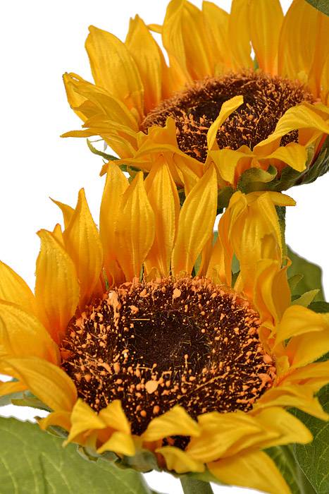 40" Silk Sunflower Stem Yellow