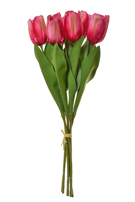 26" Tulip Bundle Beauty