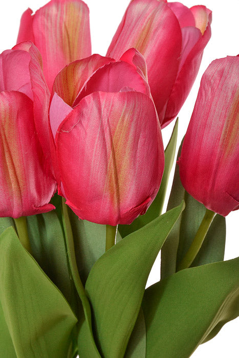 26" Tulip Bundle Beauty