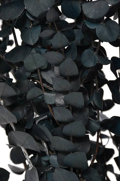 Eucalyptus Baby-Washed (16 Oz) Dark Blue