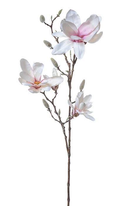 41" Silk Magnolia Spray Cream/pink