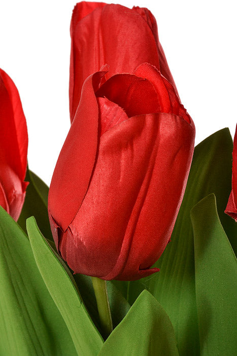 26" Tulip Bundle Red