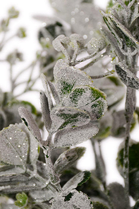 17" Snow Eucalyptus Bush Green