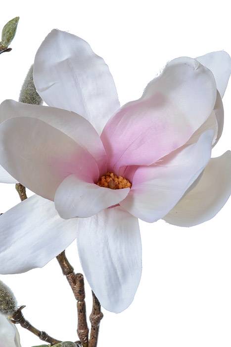 41" Silk Magnolia Spray Cream/pink