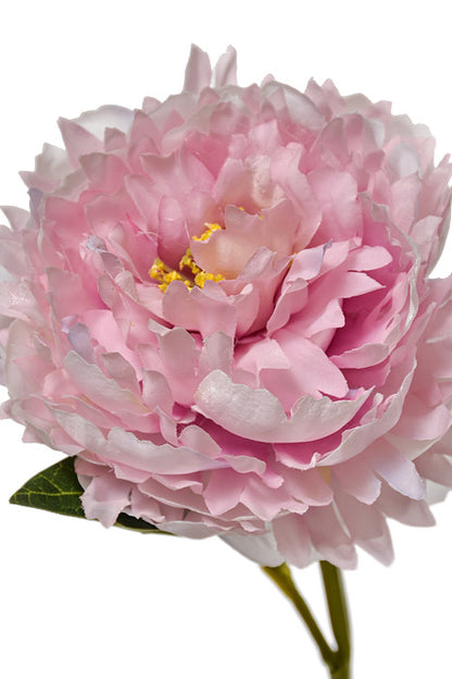 29.5" Silk Peony Spray Lavender/Pink