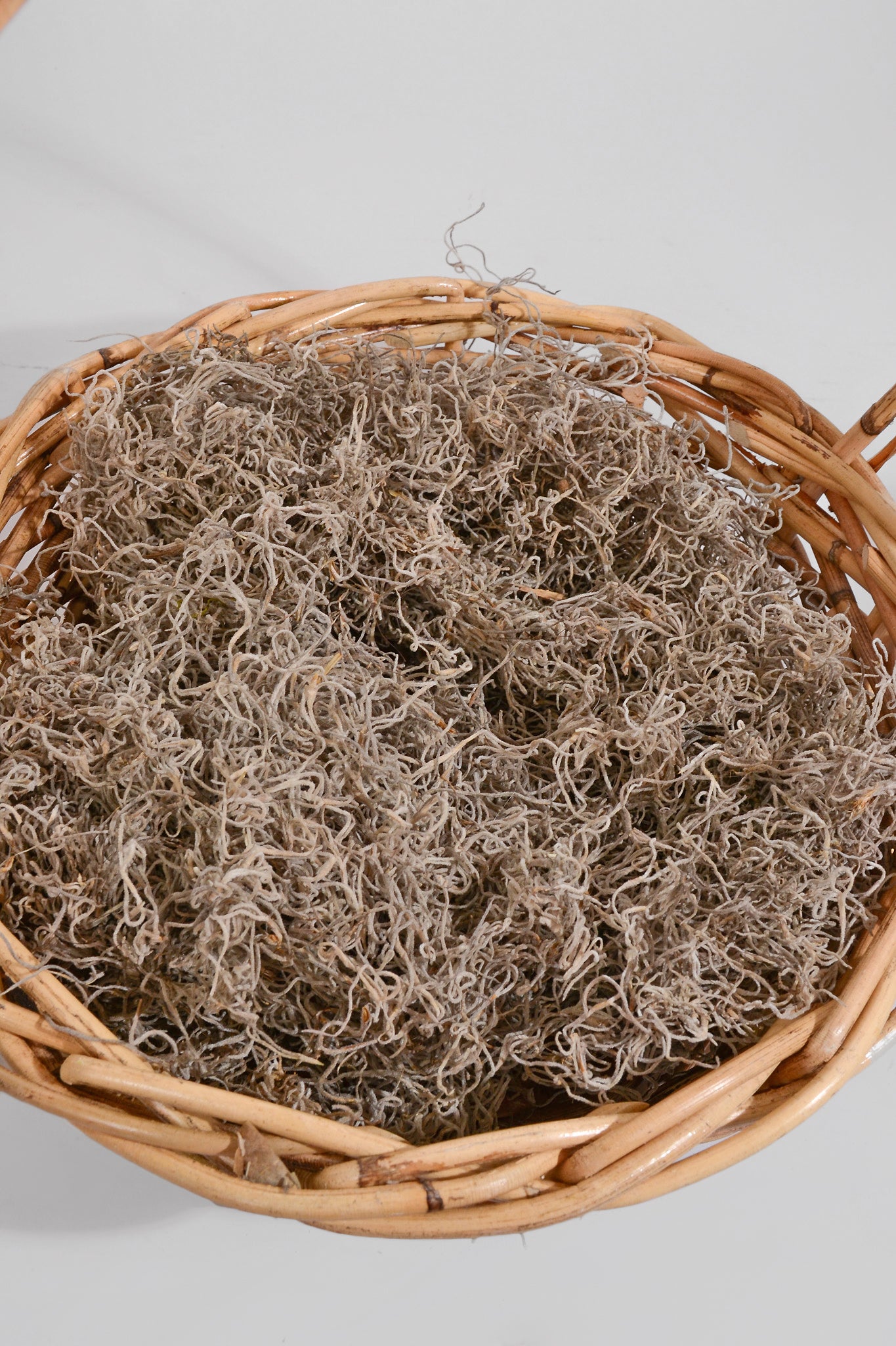 Spanish Moss Natural Pkg/1Lb