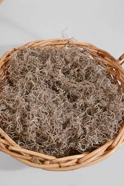 Spanish Moss Natural Pkg/1Lb