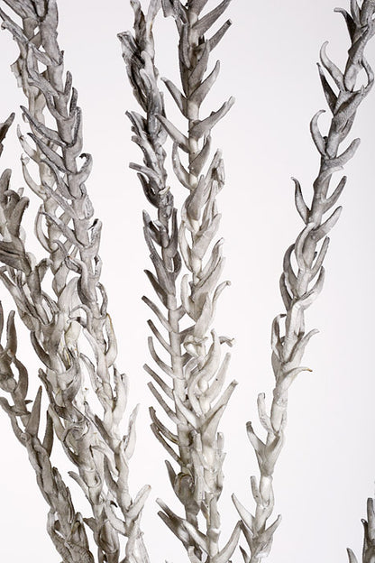 43" Foam Eva Pine Spray Grey