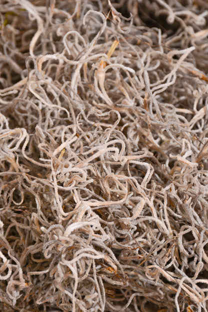 Spanish Moss Natural Pkg/1Lb