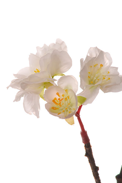 32" Silk Cherry Blossom Spray White