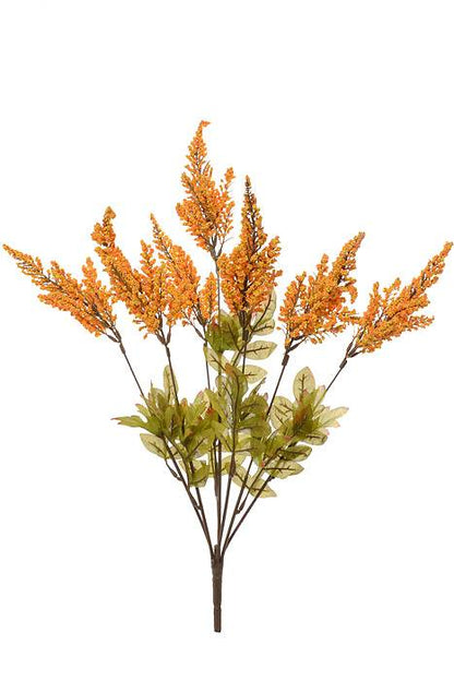 24" Astilbe Bush Mustard